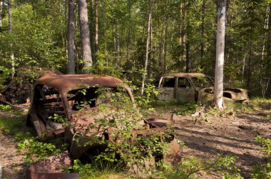 kirkoe yosun çöplükte araba