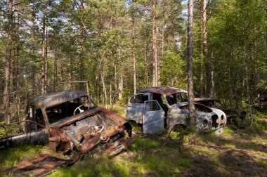 kirkoe yosun çöplükte araba