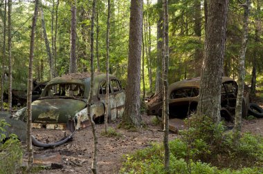 kirkoe yosun çöplükte araba