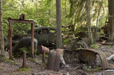 kirkoe yosun çöplükte araba