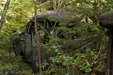 kirkoe yosun çöplükte araba