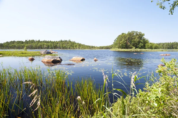 Lake asnen İsveç'te — Stok fotoğraf