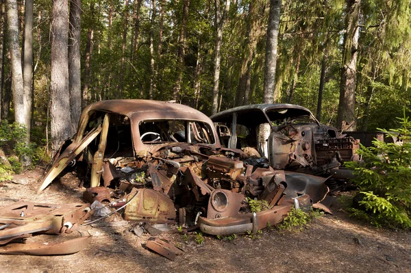 Bil dump i kirkoe mosse — Stockfoto