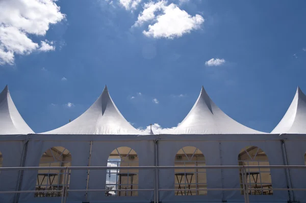 Carpa de carpa — Foto de Stock