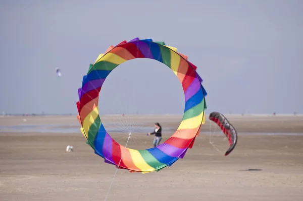 Kites — Stock Photo, Image