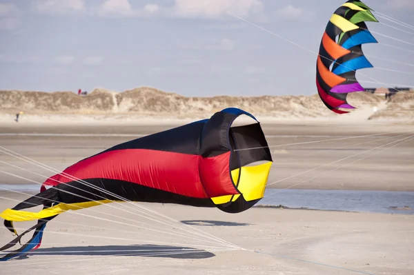 Kites — Stock Photo, Image