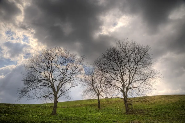 Paisaje — Foto de Stock