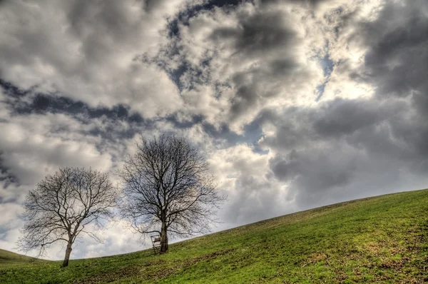 Landscape — Stock Photo, Image