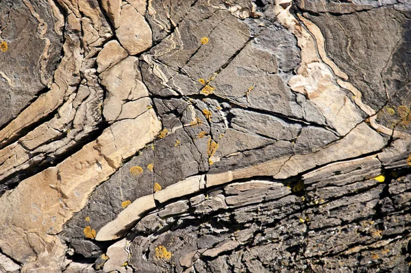 Skerry skały — Zdjęcie stockowe