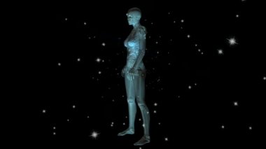 insan anatomisi animasyon