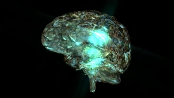 Ανθρώπινος εγκέφαλος κινούμενα σχέδια — Αρχείο Βίντεο