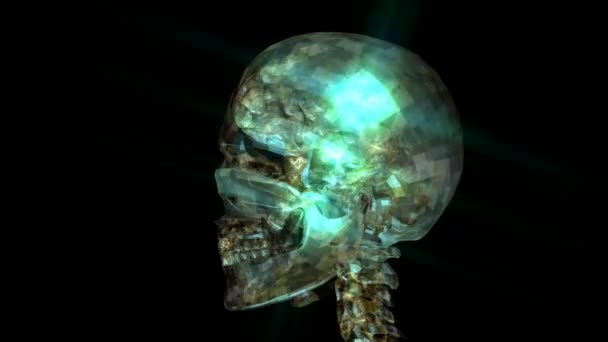 Анимация человеческого черепа — стоковое видео