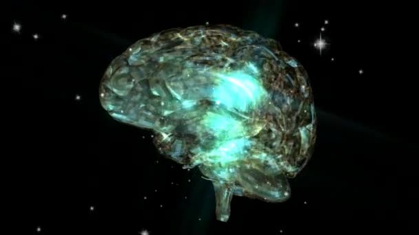 人間の脳のアニメーション — ストック動画