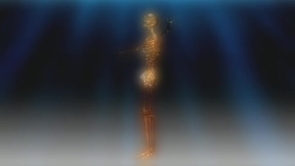 Animation menschlicher Skelette — Stockvideo