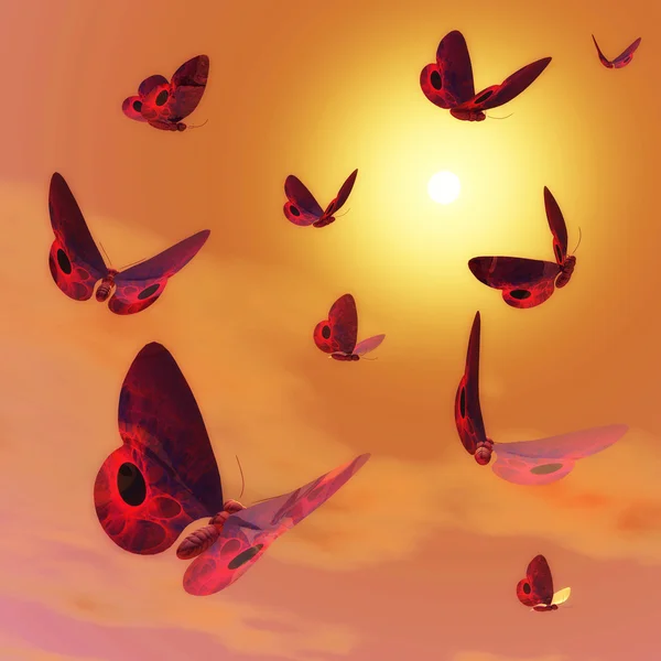 Mariposas — Foto de Stock