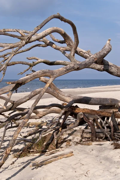 Playa del mar Báltico — Foto de Stock