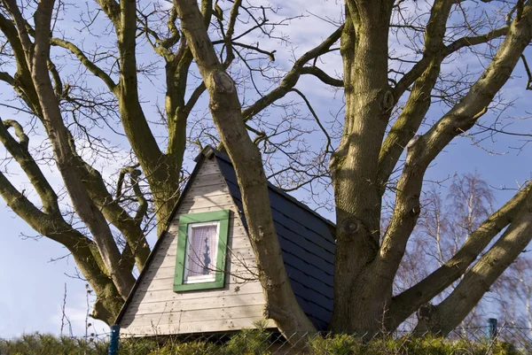 Casa del árbol — Foto de Stock