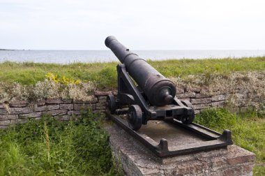 drottningskaers kastell aspoe İsveç tarihinde