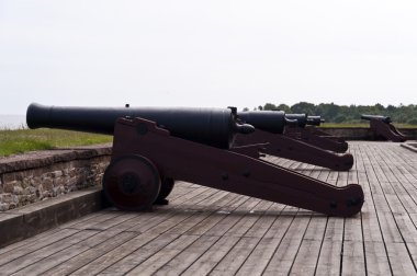 drottningskaers kastell aspoe İsveç tarihinde