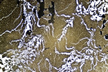 mikroskobik is parçacıkları