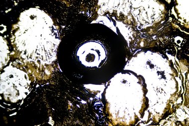 mikroskobik is parçacıkları