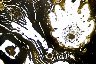 mikroskobik is parçacıkları