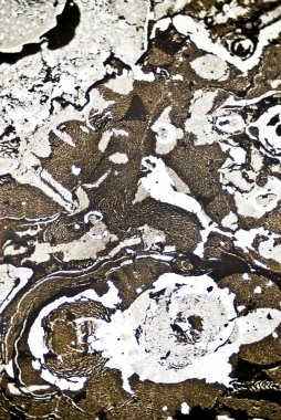 mikroskobik is parçacıkları