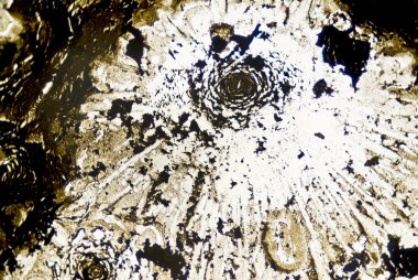 mikroskobik is parçacıkları