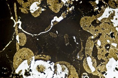 mikroskobik is parçacıkları