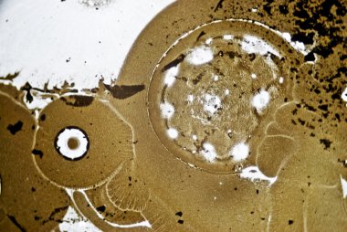 mikroskobik is parçacıkları