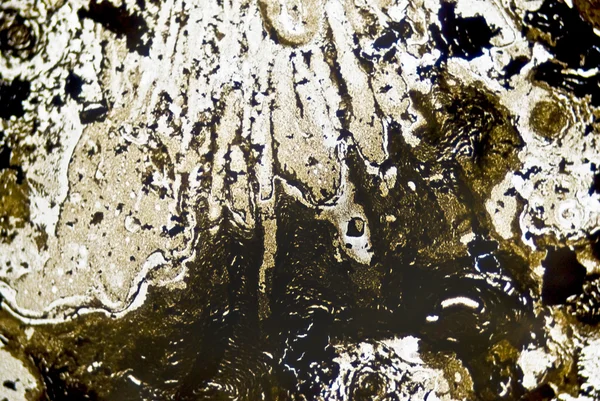 mikroskobik is parçacıkları