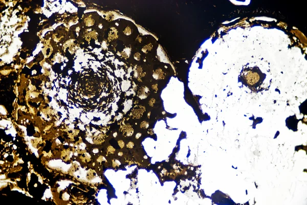 Partículas microscópicas de fuligem — Fotografia de Stock
