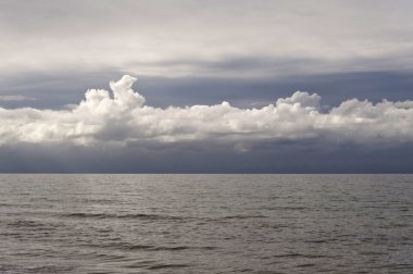 Almanya 'da Baltık Denizi Darss' ta