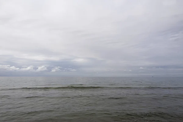 Mar Baltico su Darss in Germania — Foto Stock