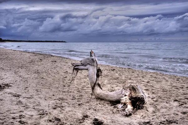 Paesaggio costiero del Mar Baltico di Darss in Germania, HDR — Foto Stock
