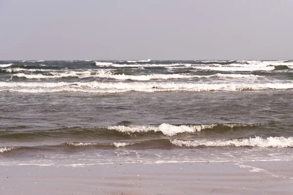 Mar Baltico su Darss in Germania — Foto Stock