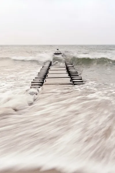 Ostsee auf dem Darß in Deutschland — Stockfoto