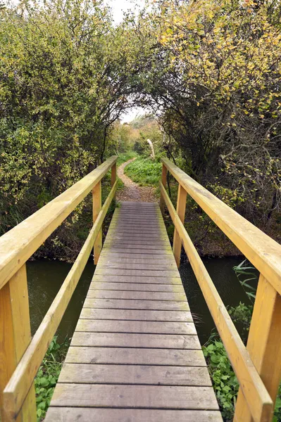 At the bay of Ahrenshoop in Germany — Stock Photo, Image