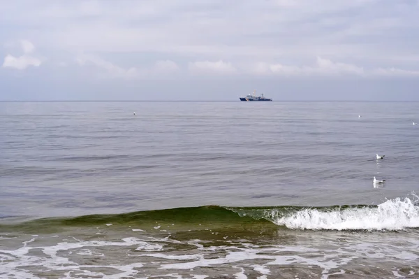 Mar Báltico em Darss na Alemanha — Fotografia de Stock