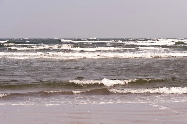Baltic Sea on Darss in Germany Stock Image