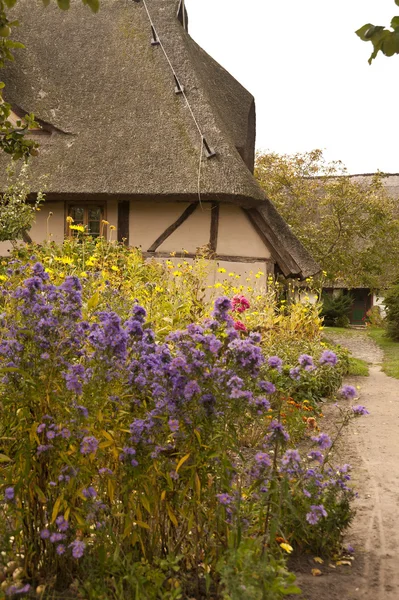 House in Fischland — Stock Photo, Image