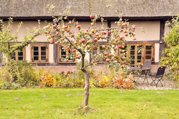 Dům v fischland — Stock fotografie