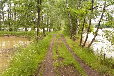 üzerinde hiking trail goldsteig, Almanya
