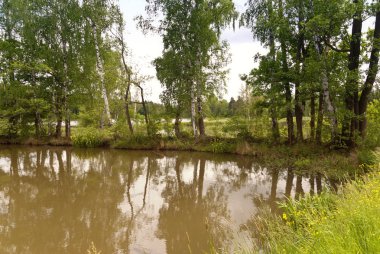 Upper Palatinate Almanya'da gölde