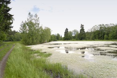 Göl Upper Palatinate, Almanya