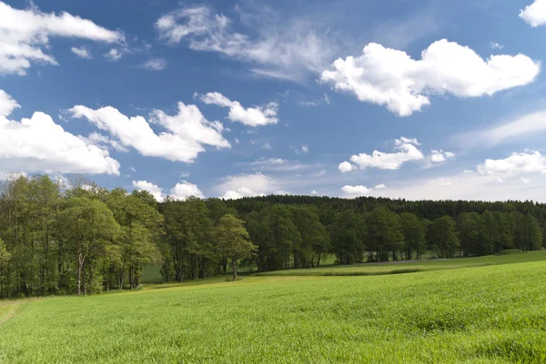 Landscape in Upper Palatinate, Germany — Stock Photo, Image