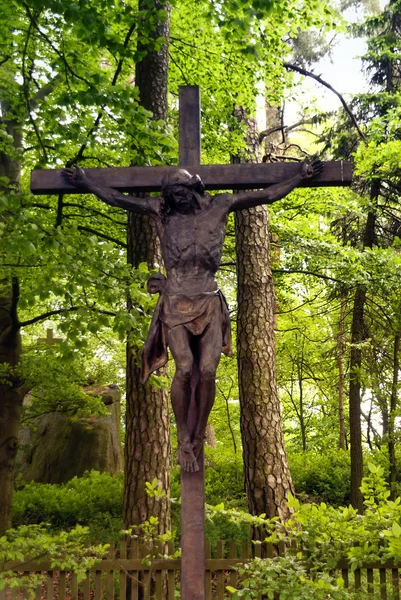 Cementerio en un bosque — Foto de Stock