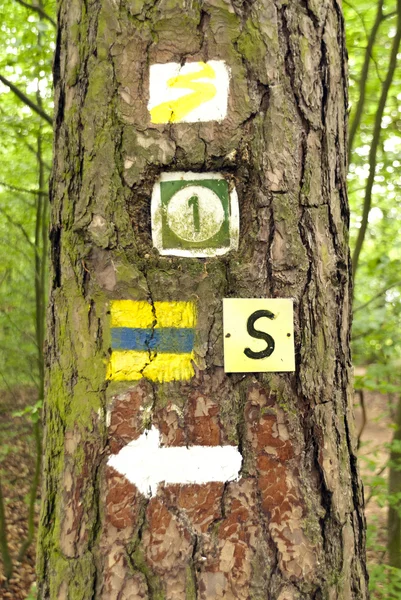 üzerinde hiking trail goldsteig