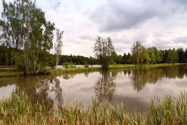 Jezero v Horní Falc, Německo — Stock fotografie