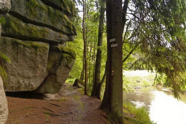 Üzerinde hiking trail goldsteig, Almanya — Stok fotoğraf